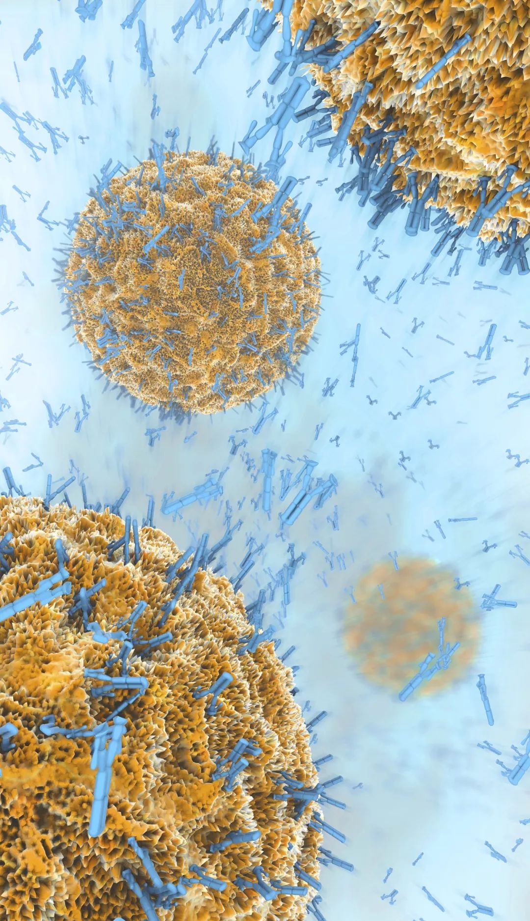 人体防卫战,人体痛点攻击技巧