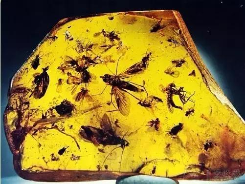 全球最大宝石原石,全球最大的珍贵宝石