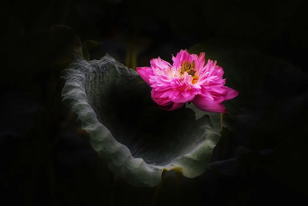 香港第14届全国摄影艺术展,第29届全国摄影艺术展览获奖名单