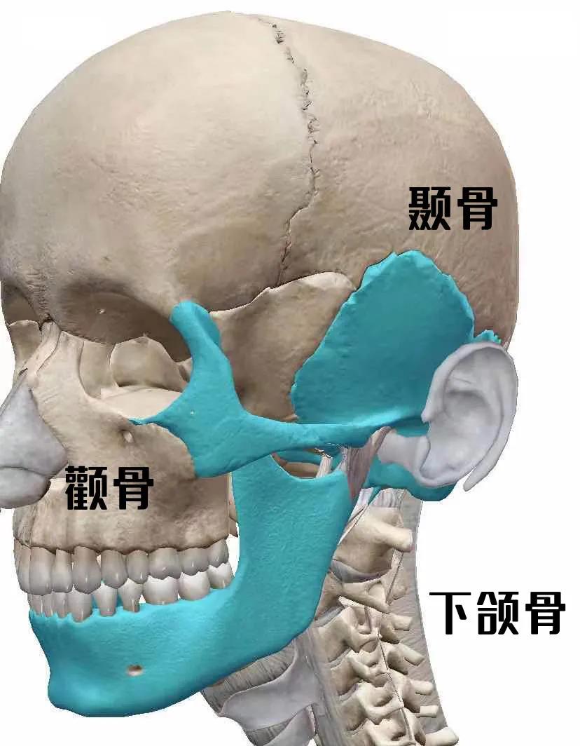 改善太阳穴脸颊凹陷的修容,改善太阳穴凹陷的面部动作