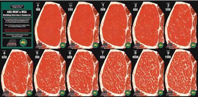 牛排等级及区分方式,常见的4种牛排分类介绍