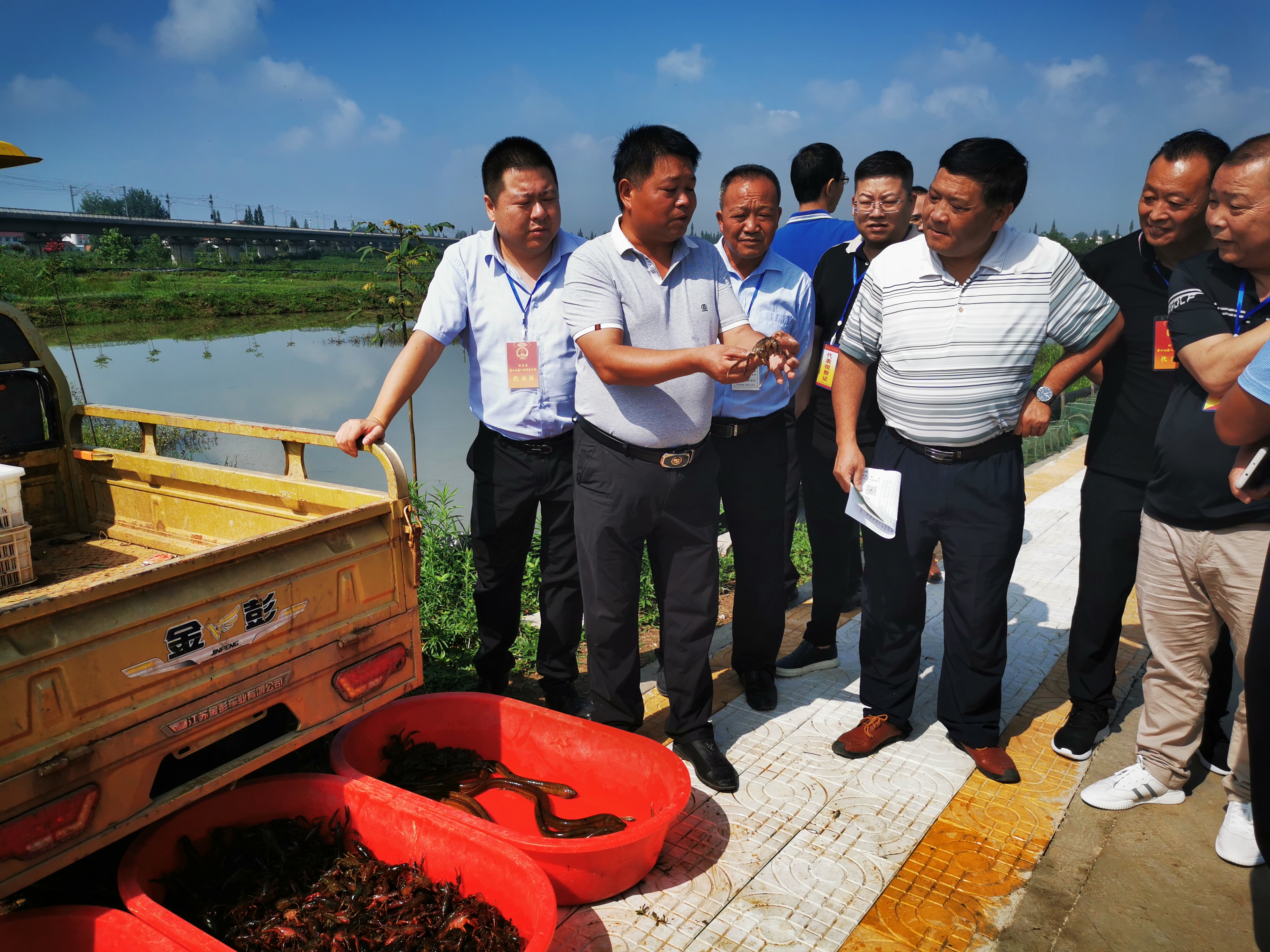 致敬中国退役军人军魂永驻,追忆军旅岁月致敬退役军人