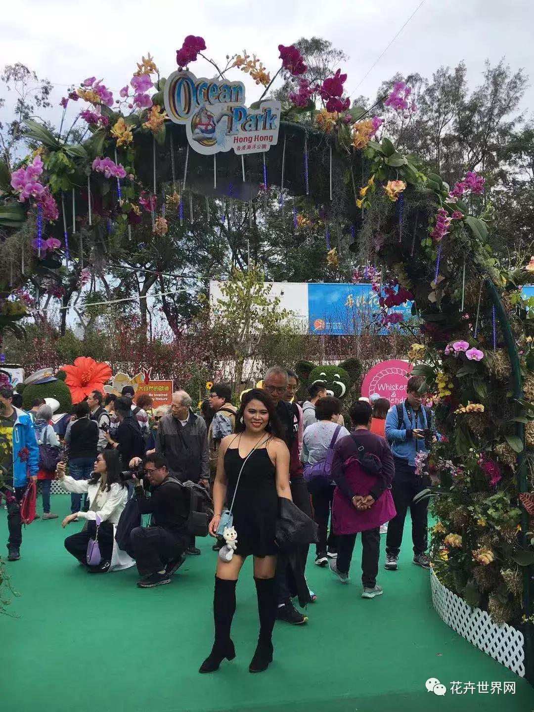 共赴盛会活动,香港国际花卉展