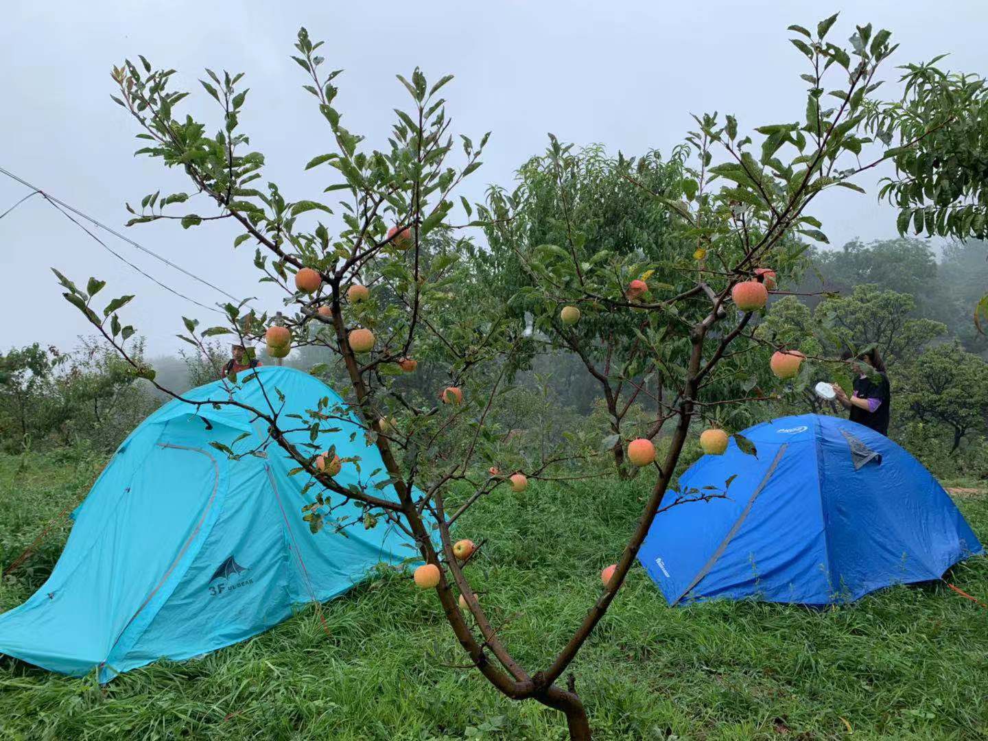 南太行唯一的专业户外露营基地,火舞龙腾星空露营