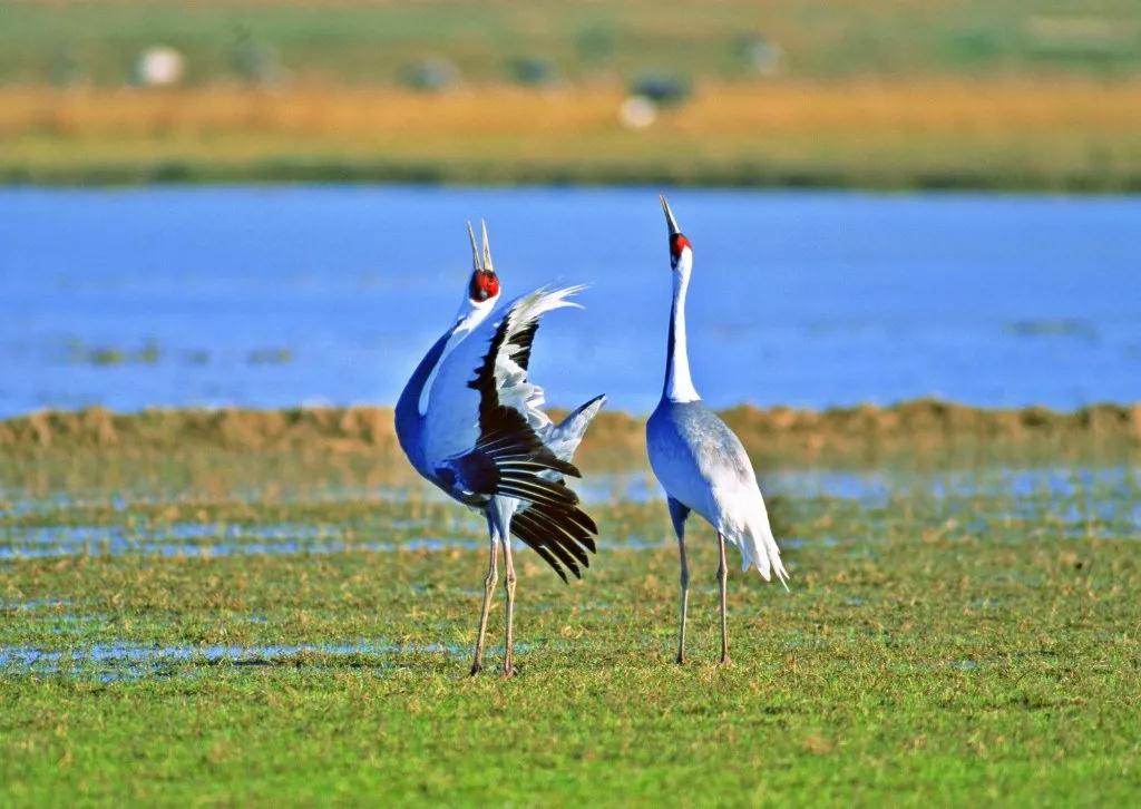 去丽江住哪个客栈好,丽江住两晚推荐