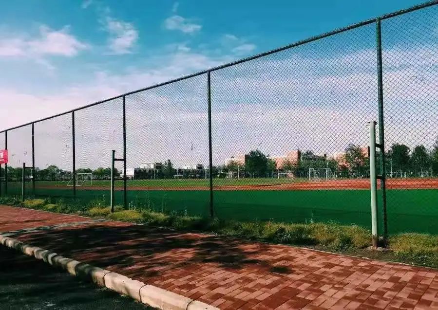 权威发布|北京科技大学天津学院2021年本科招生章程