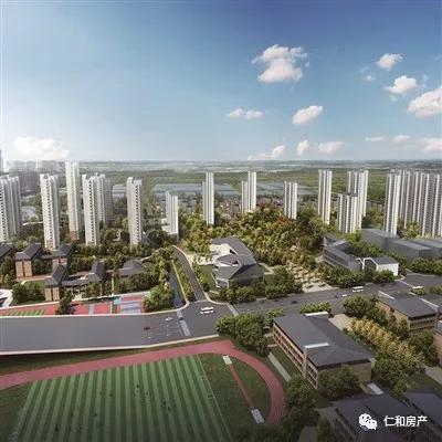 仁和区未来发展,仁和新城未来发展前景