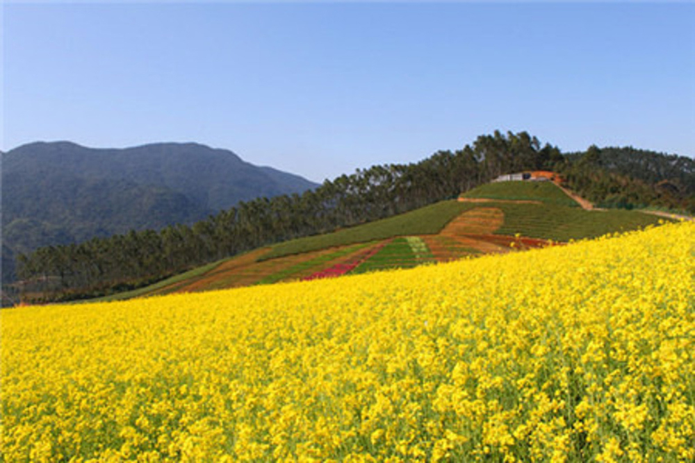 陆游的山重水复疑无路柳暗花明,山重水复疑无路陆游最美的十首词