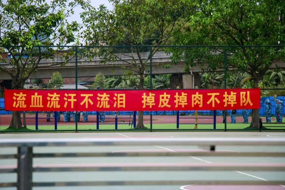 广东南华工商职业学院高职分数线,广东南华工商职业学院2024招生