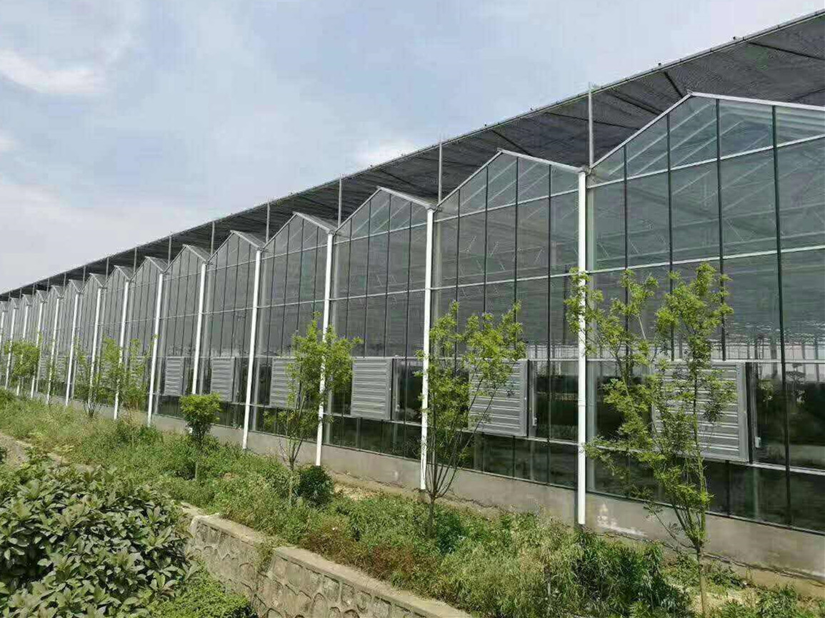 河北遮阳连栋薄膜大棚承建,连栋薄膜温室大棚效果图讲解