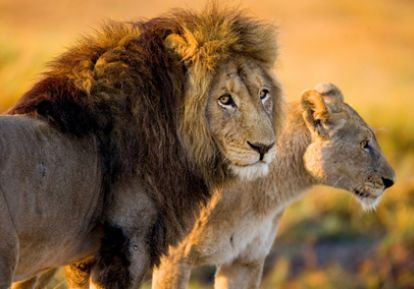 出国玩怎么花钱,出国旅游怎么给钱的