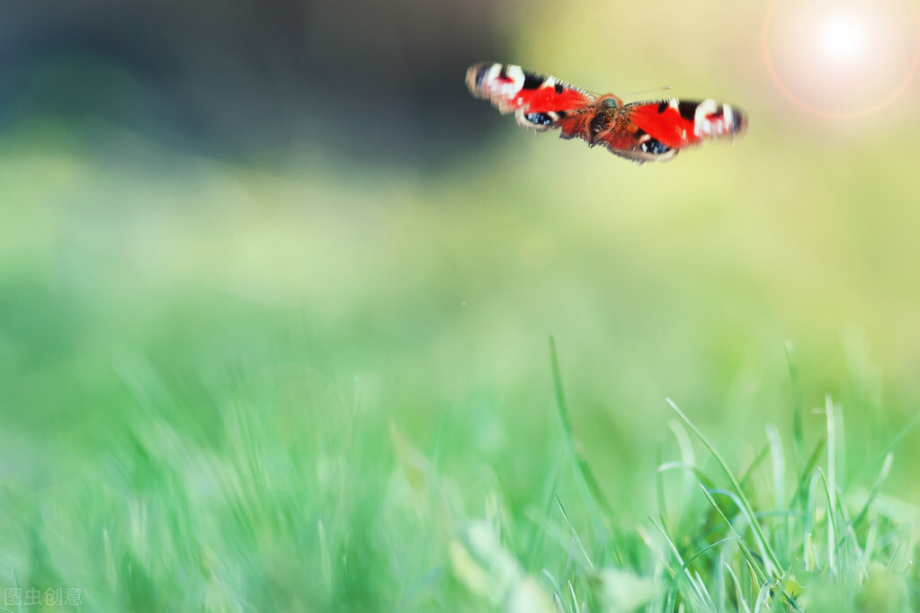 沿途的风景,沿途的风景原唱