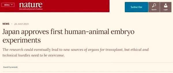 猪猴杂交新物种,世界首例猪猴杂交在中国诞生