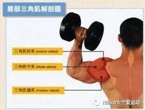 怎么减掉斜方肌变成一字肩,女人天鹅颈怎么练出来