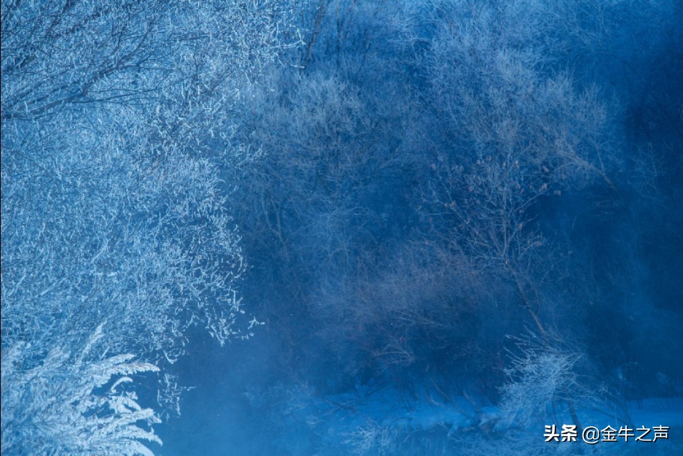 诵读国学传诵经典,关于国学经典传诵的视频