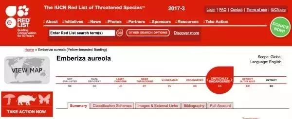 从禾花雀到云雀,又一种鸟快被中国人吃绝种了!