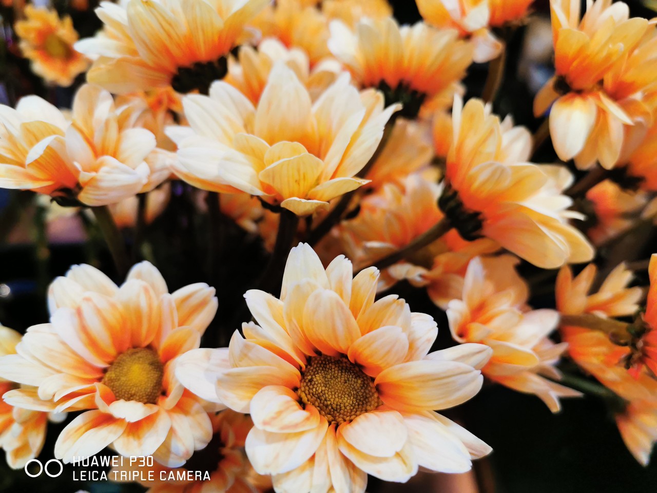 华为P30上手体验精致和价格真不能权衡一下吗？