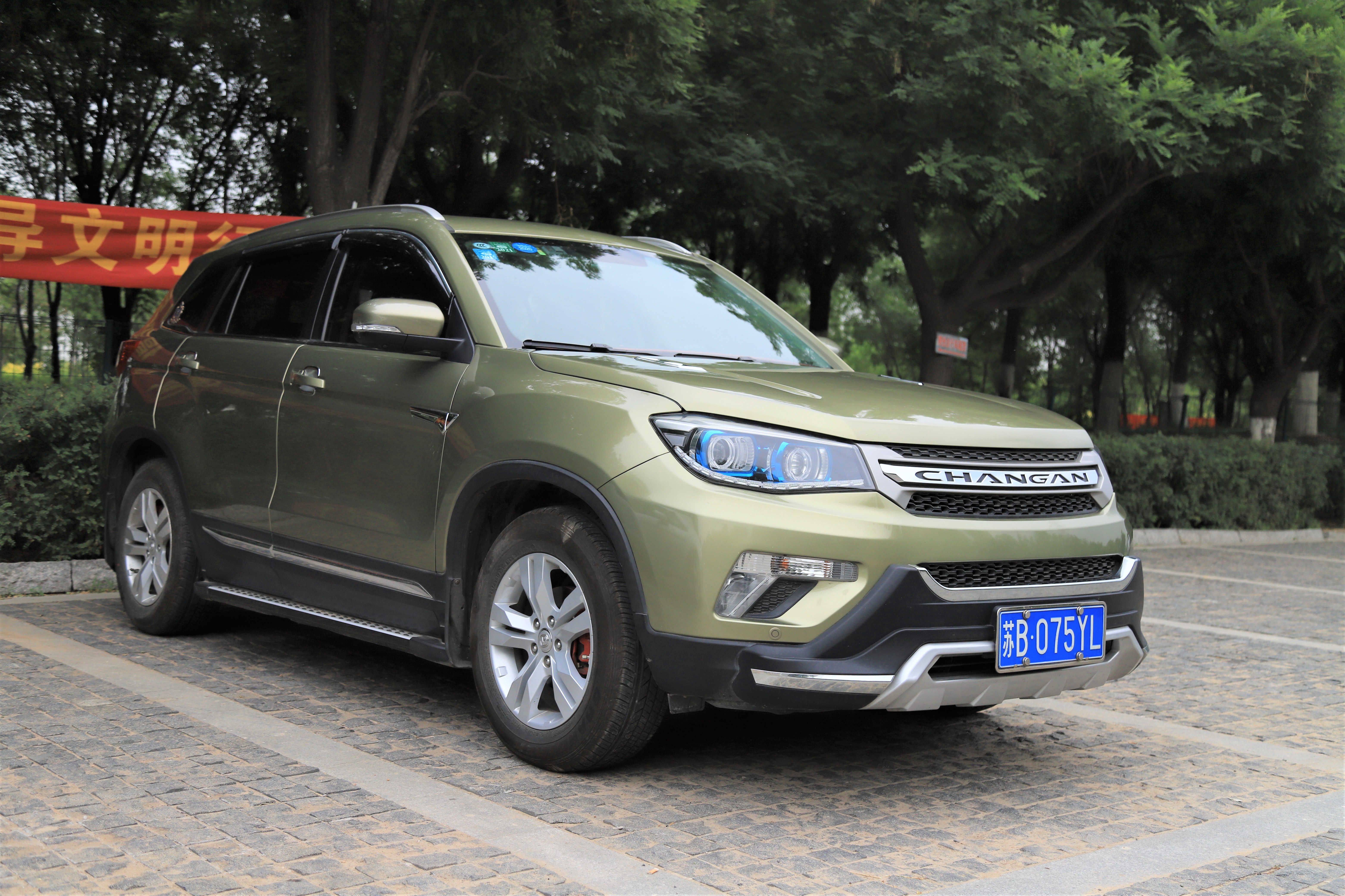 秋高气爽公园散步随拍,深秋天津的郊野公园