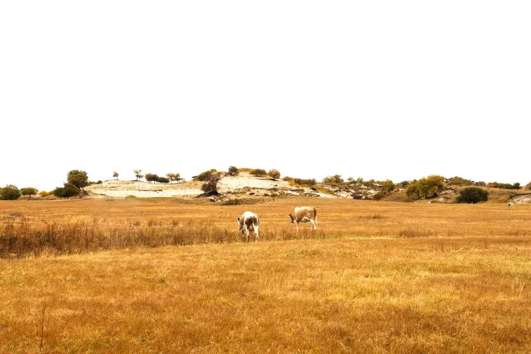 赤峰旅游与美食攻略大全,内蒙古赤峰旅游攻略自由行