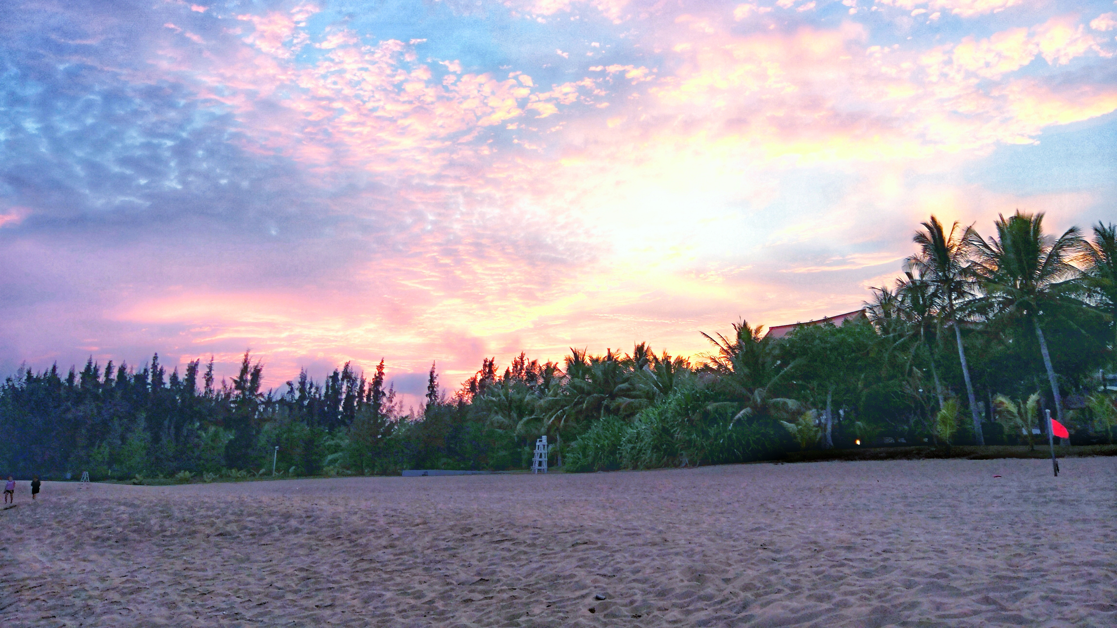 都是网红惹的祸,都是网红惹的祸完整版