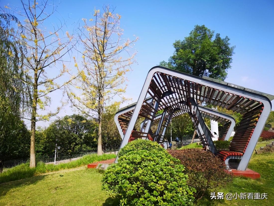 重庆悦来生态新城,悦来新城重庆