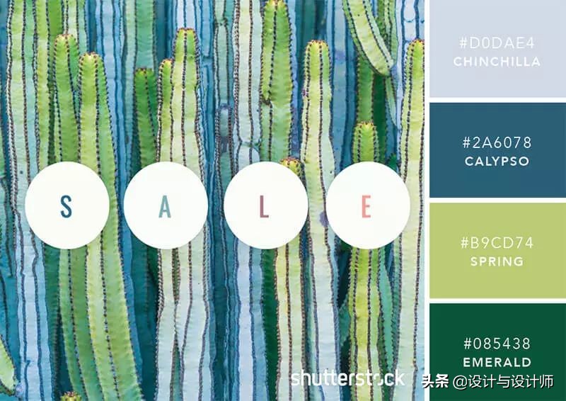 设计色彩总结200字左右,设计配色6种颜色