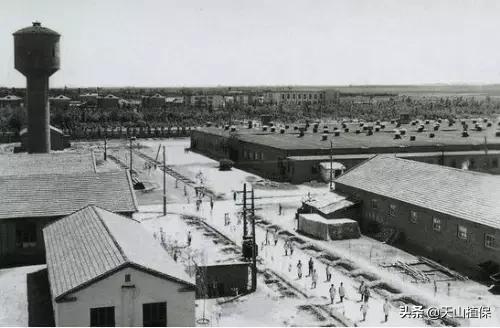 上榜啦！*疆新**鸟市和石市即将被国家命名！未来发展不可估量