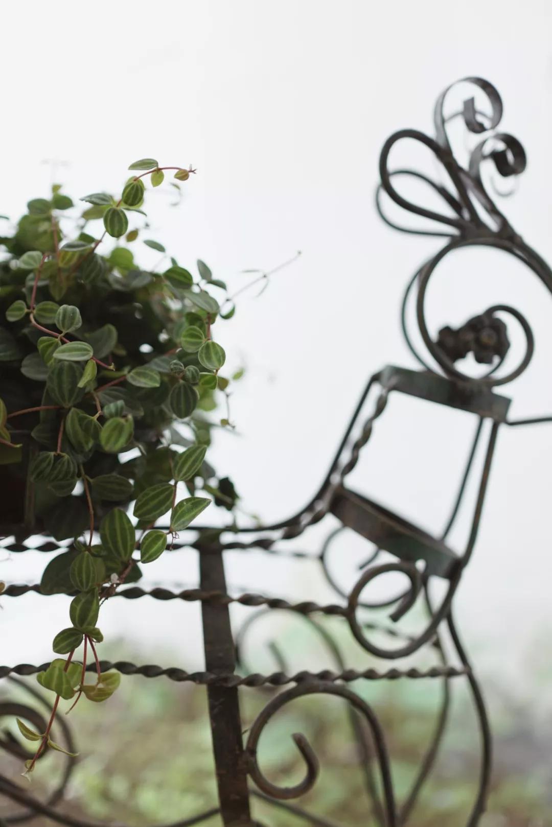 上海老旧学区房设计,上海带学区的老房子