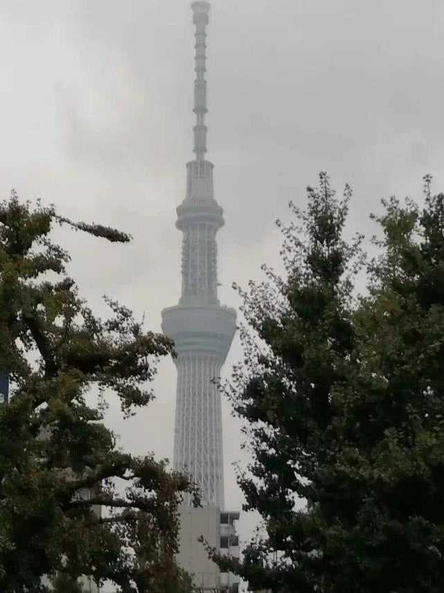 柯普时间：园子大小姐家的铃木塔你知道多少？