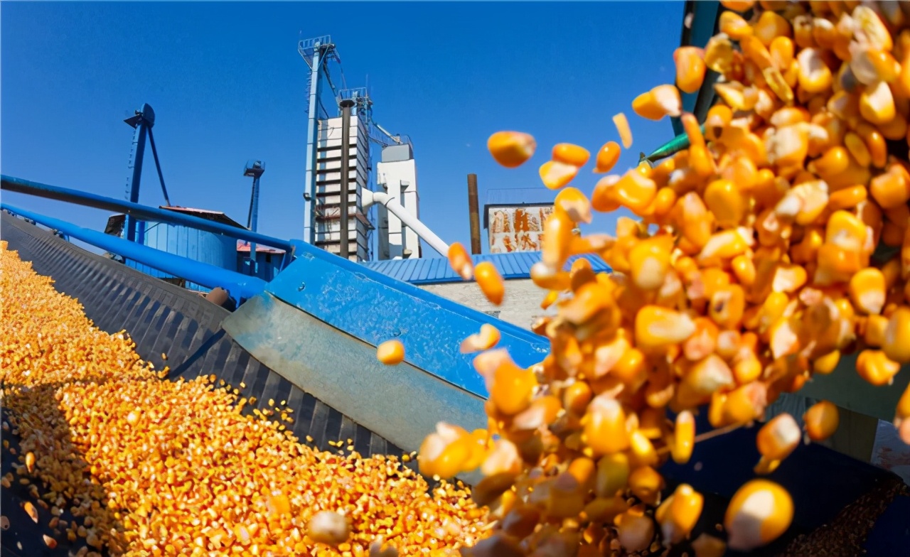 美国粮食价格危机,美国是如何操控世界粮价的