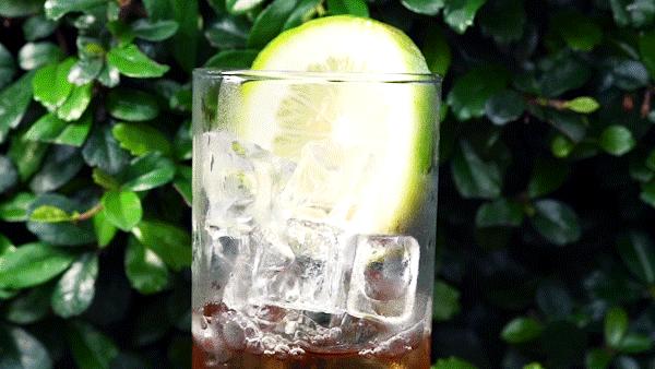 挞柠元岗南路店,挞柠手打柠檬茶团购广州