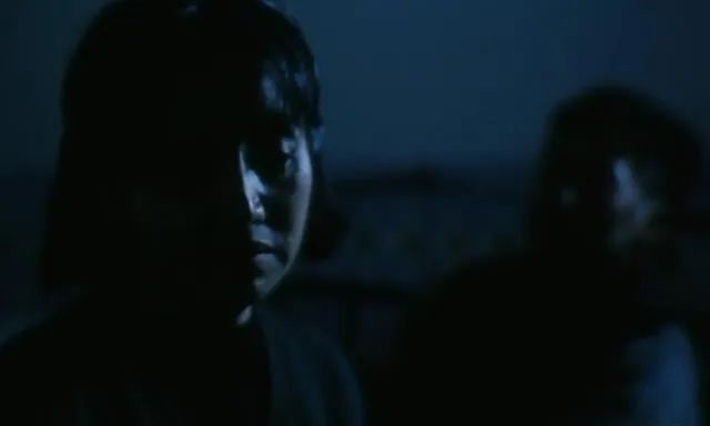 可惜没在中国上映的电影,李冰冰05年电影