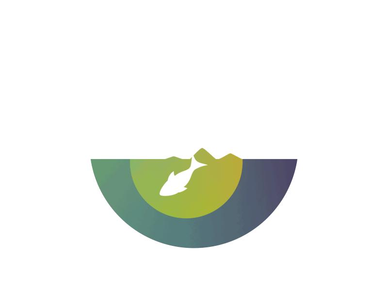 民国伪钞案最新说法,第一伪钞大案纪实