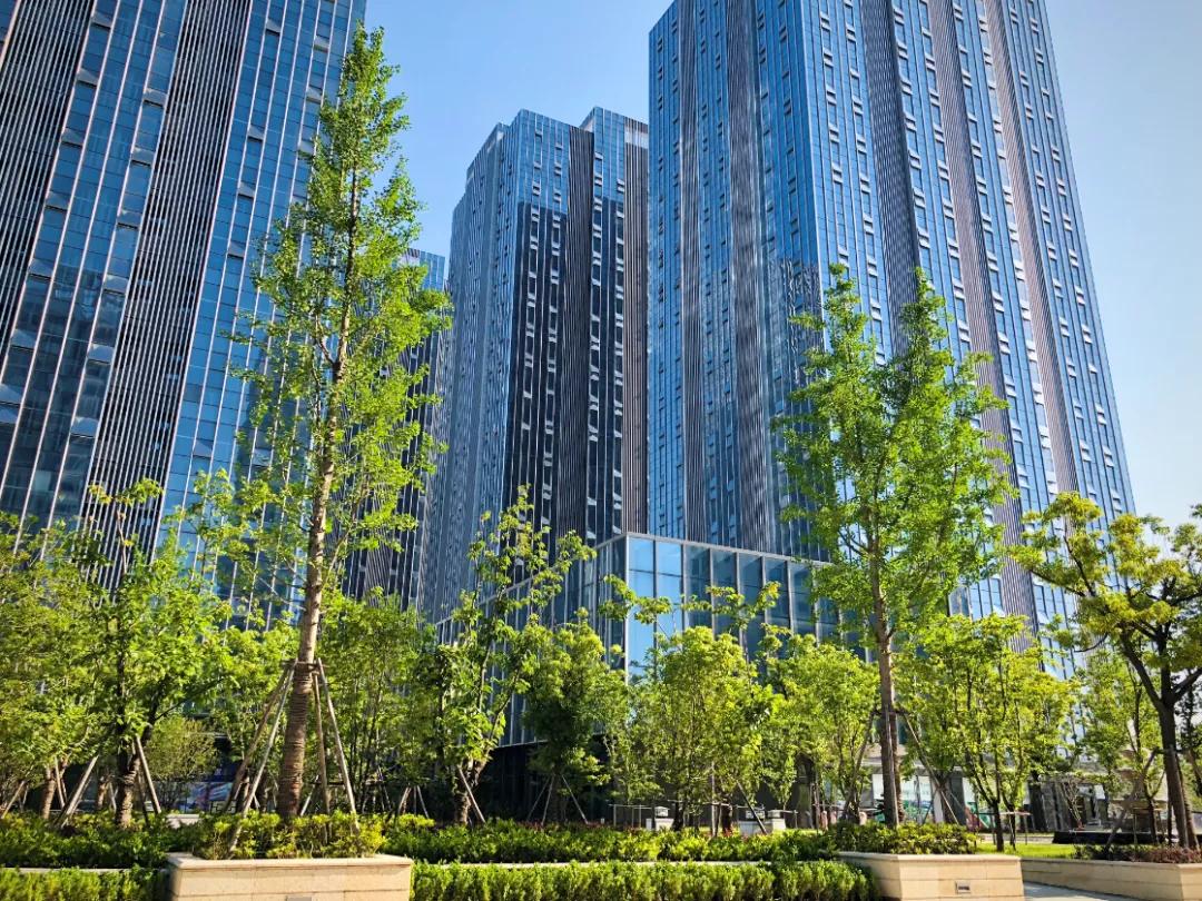 太惊喜!这家高品质项目不声不响卖到第一,独家内幕被曝光