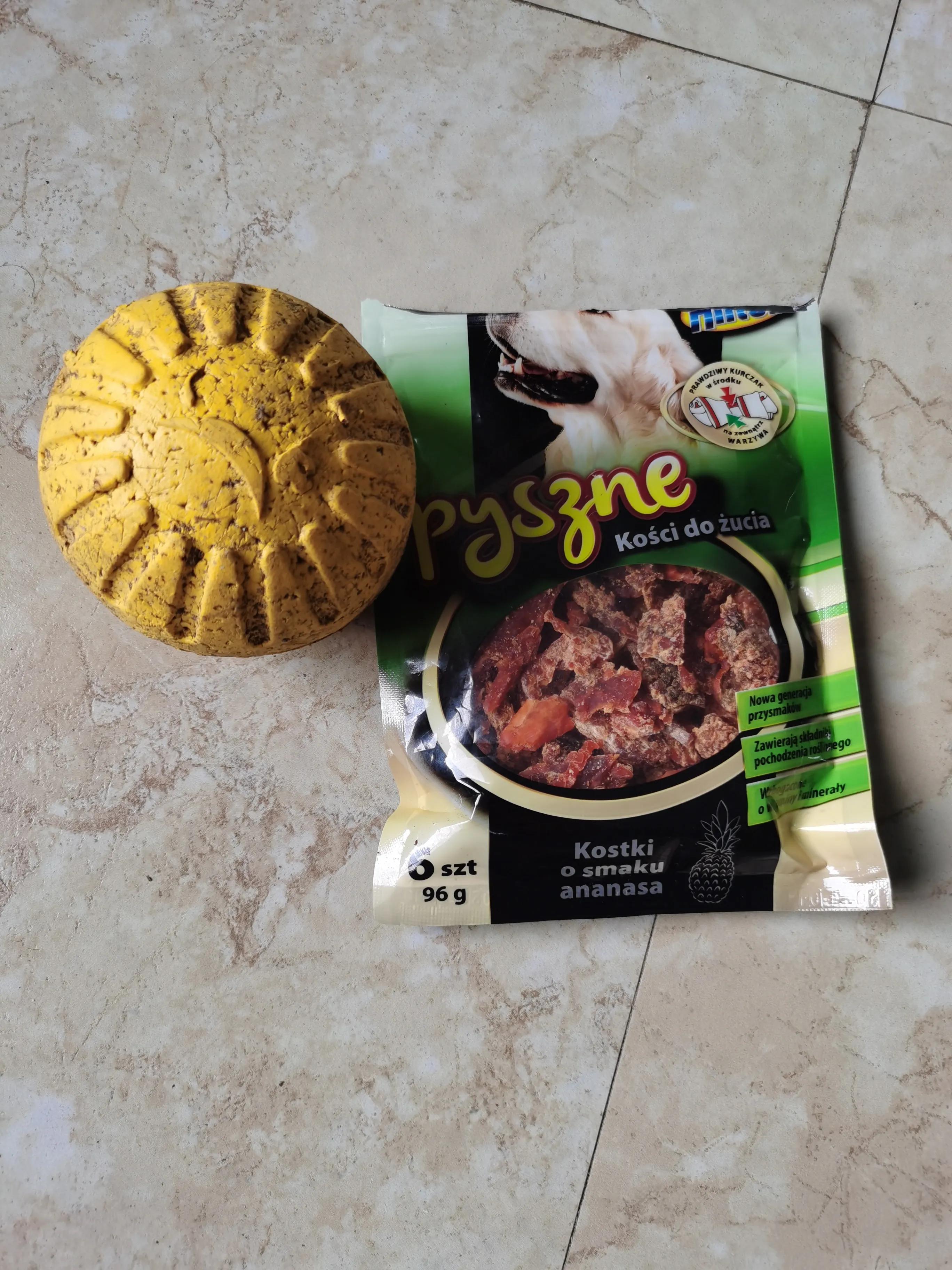 训练狗狗听话的诀窍拉布拉多,拉布拉多幼犬照顾知识图片高清