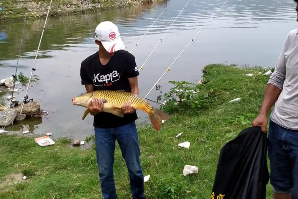 高碳素和低碳素什么区别,高碳素鱼竿优缺点