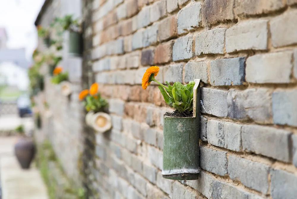 【谁不说咱家乡美】美丽中国，“乡”约万安（河西片）