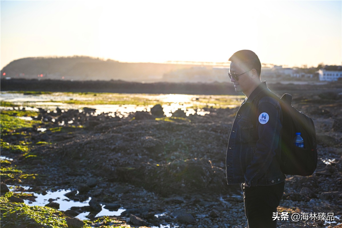 野生海参探店,野生海参采捕视频大全