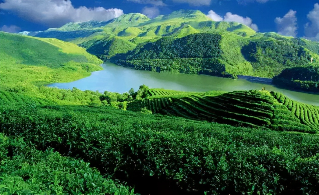 匀酒精品测评,匀酒经典浓香