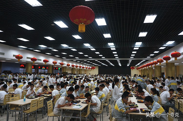 餐厨垃圾快速资源化处理设备,高效餐厨垃圾处理机