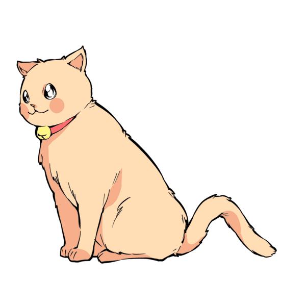 猫咪尾巴竖起来是什么意思,猫咪尾巴各种姿态含义