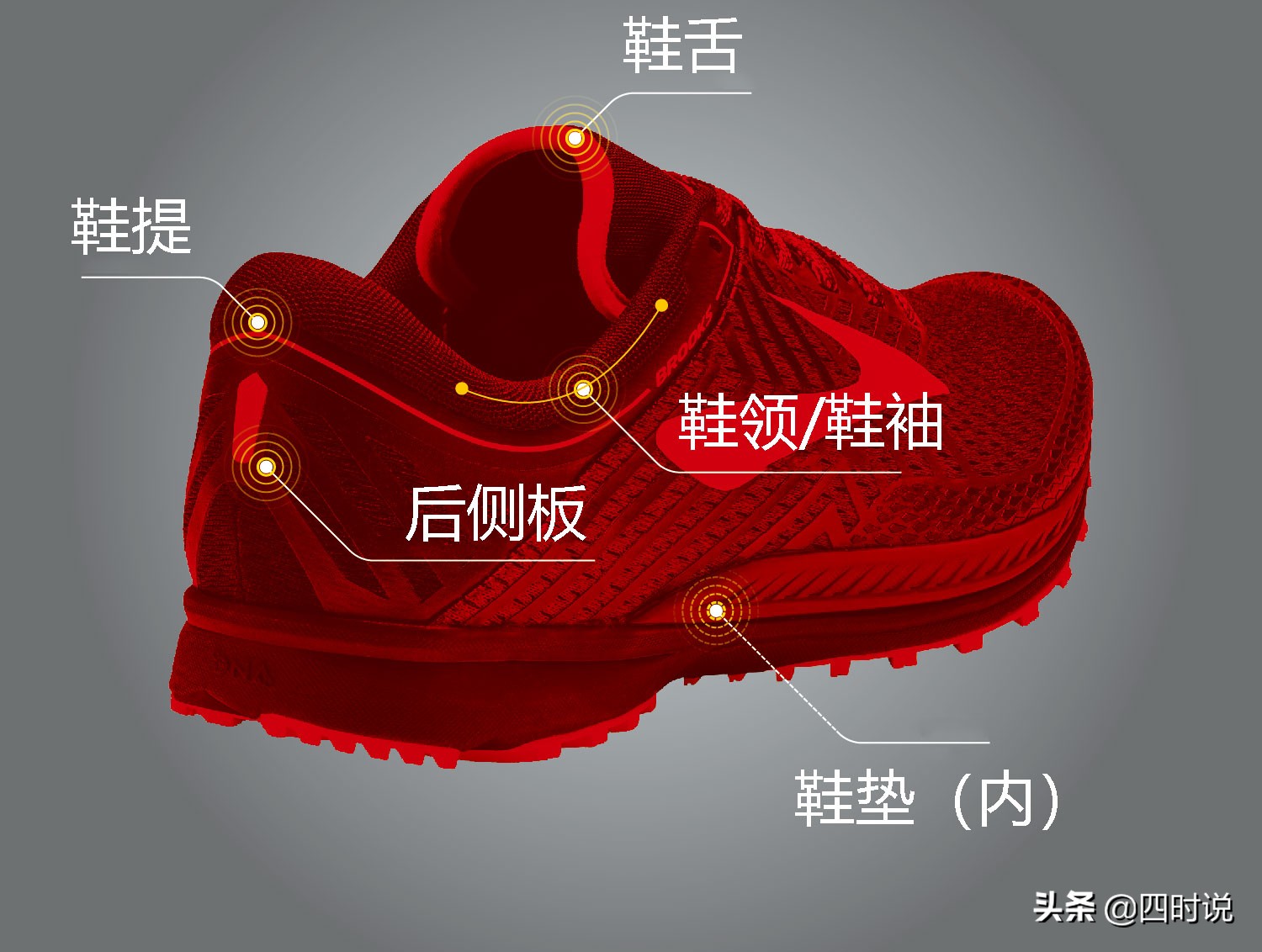 怎样快速认识各款跑鞋,跑鞋指南高清图