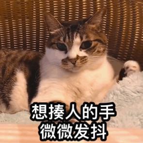 沙雕闺蜜表情包,亲哥表情包沙雕