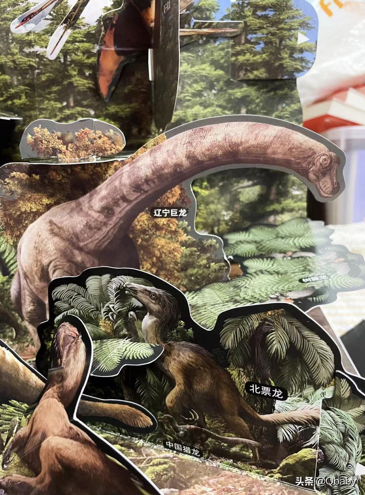 恐龙大百科恐龙探秘,恐龙探秘恐龙化石