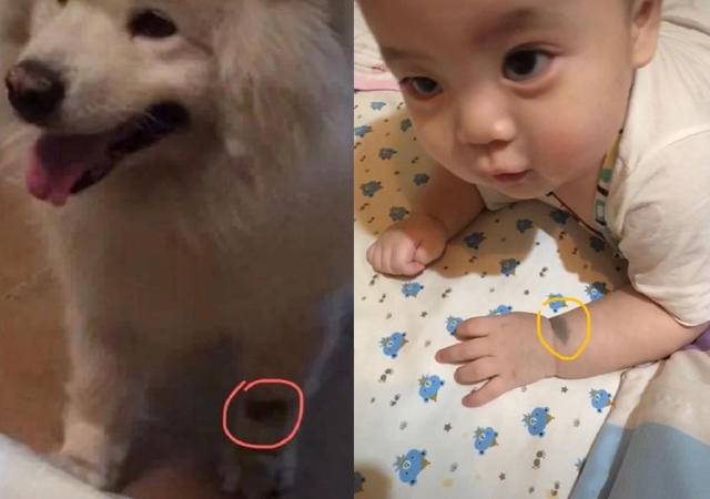 孕期胎梦预示着什么,怀孕妈妈胎梦预示什么