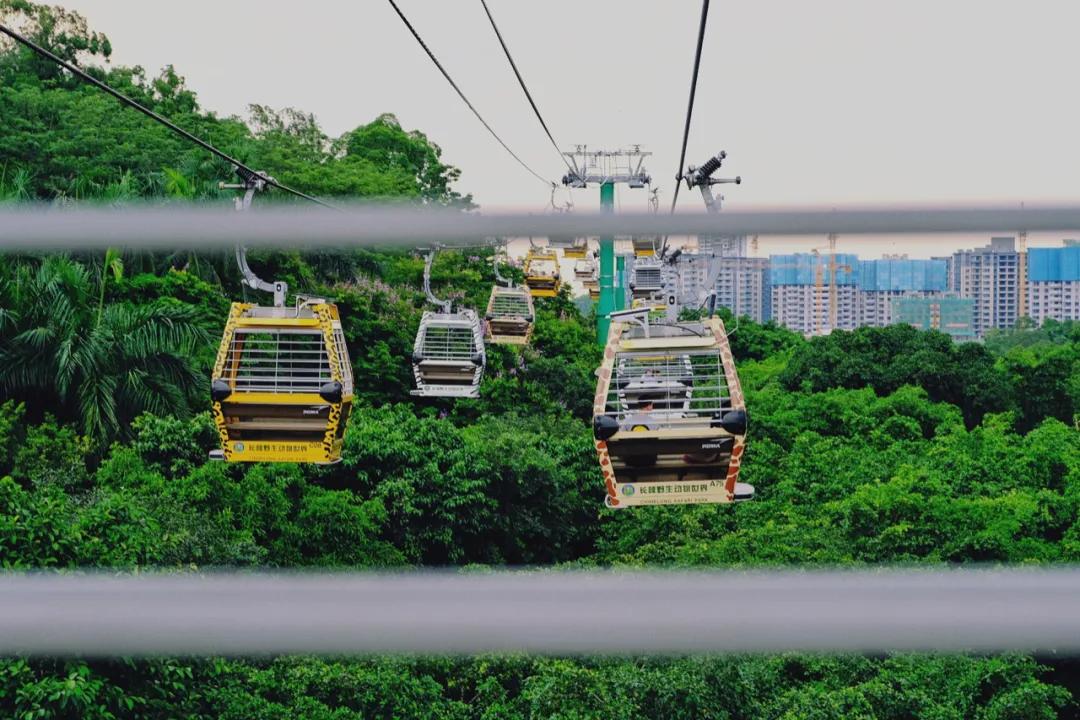 广州长隆怎么玩最划算攻略分享,广州长隆省钱攻略