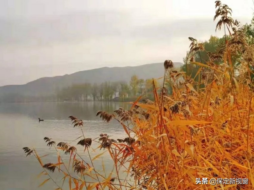 易县最美的风景线,带上好心情向美丽出发