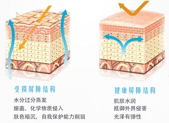 关于各种痘痘的在线咨询,治疗痘痘的分享