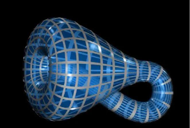 梅花小仙子,梅花命运