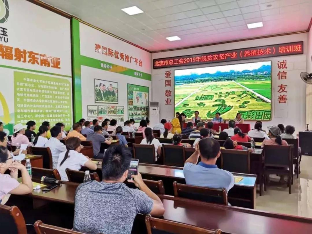 中农富玉大事记,中农富玉未来发展趋势